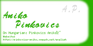 aniko pinkovics business card
